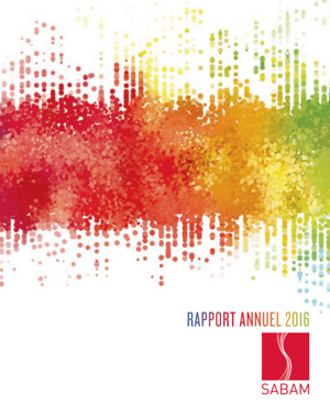 Rapport annuel 2016