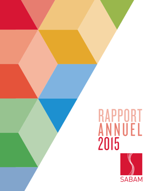 Rapport annuel 2015
